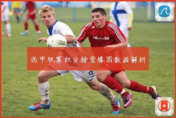 西甲联赛积分榜雪缘园数据解析